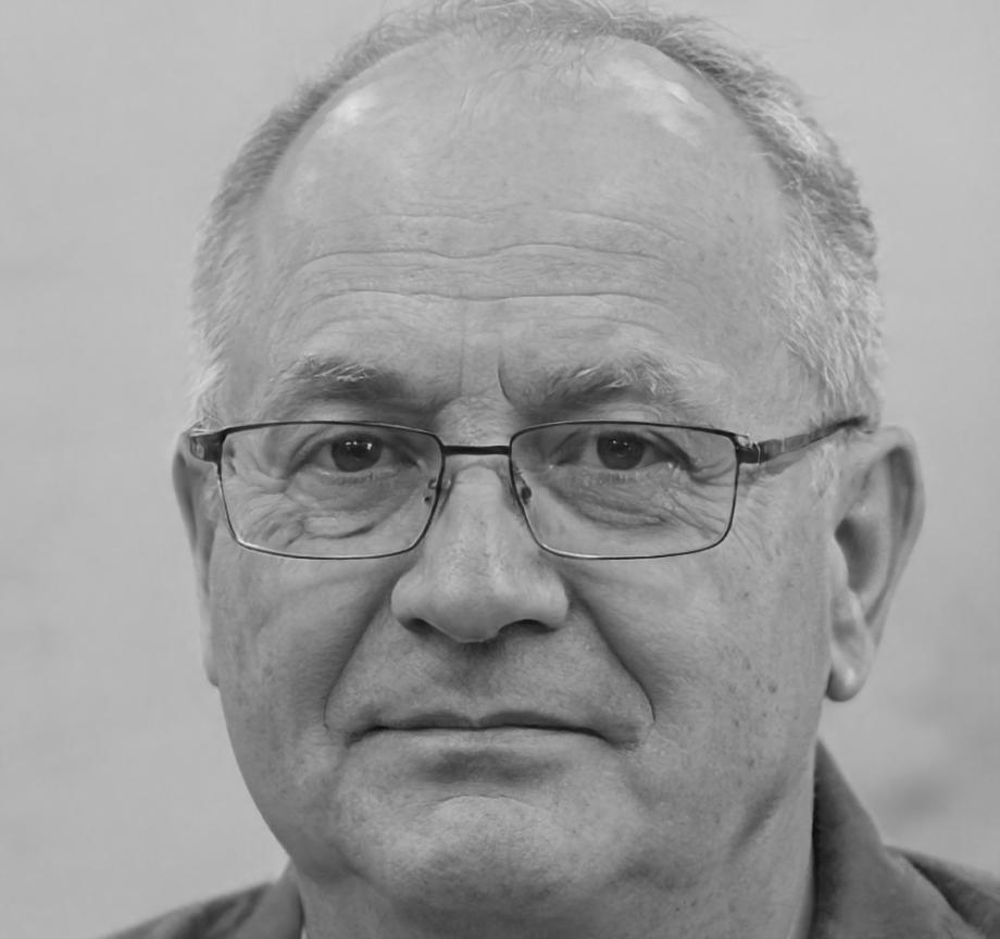 Dževad Rühl, Spezialist für Teamworkshops